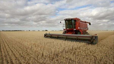 Delay in planting crops will have knock-on effect for farming sector, Teagasc warns