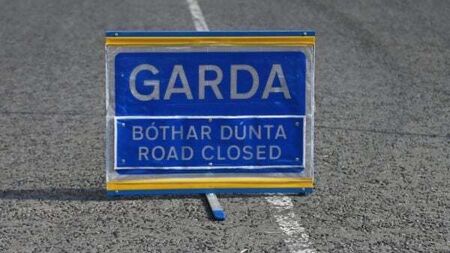 Man (20s) dies in road traffic collision in Kerry