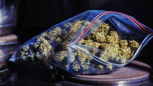 Trial over €320k drug bust in Waterford reveals sophisticated system