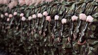 Soldier fails in appeal over conviction for 'punishment beating' on fellow recruit