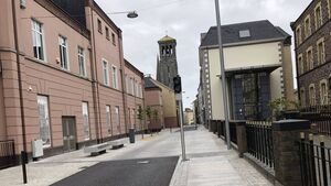 Children may be the future of Waterford's Lady Lane