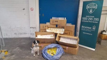 Cigarettes and tobacco worth over €160,000 seized at Dublin Port