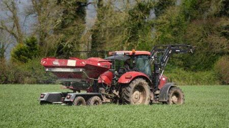Wheat, barley and oat production declined by about 20% last year