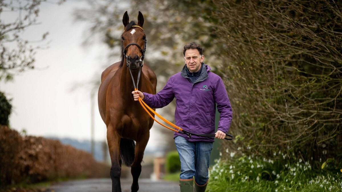 Inside the world of racing by Apollo