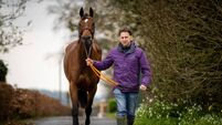 Inside the world of racing by Apollo
