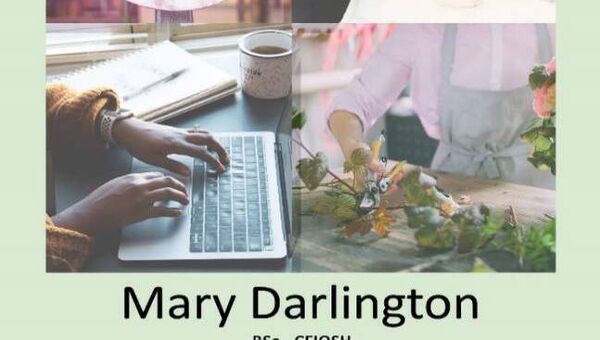 Mary Darlington's new book for small Irish business which focuses on health and safety