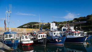 'Not a penny' spent in the Waterford Gaeltacht, TD says