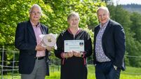 Déise cheesemakers win award