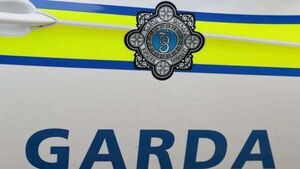 Woman (80s) in serious condition after attack in Louth Woman (80s) in serious condition after attack in Louth