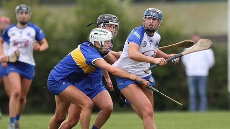 Golden day for Déise camogie