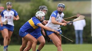 Golden day for Déise camogie
