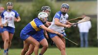 Golden day for Déise camogie