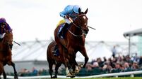 The racing week: Henry De Bromhead lauds it at Punchestown