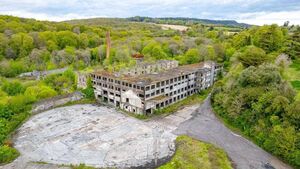 Local Notes: Sale of historic mill, dog show and scout troup news