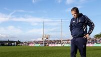 All to play for in Munster dog fight