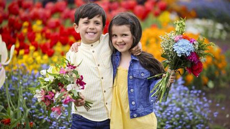 Waterford represented at Bloom 2024