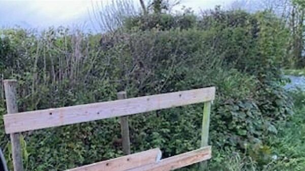 South Ireland Candidate Eddie Punch has posters torn down in Waterford