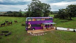 Unique Tramore Eco Bus 'Dervla Decker' on sale for €50,000
