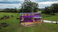 Unique Tramore Eco Bus 'Dervla Decker' on sale for €50,000