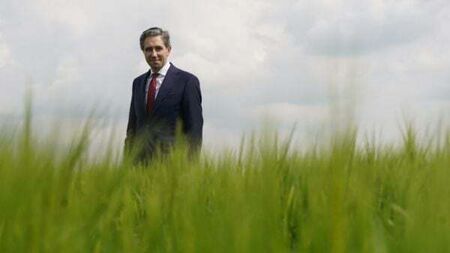 No need to reduce cattle numbers to hit carbon emissions target – Taoiseach