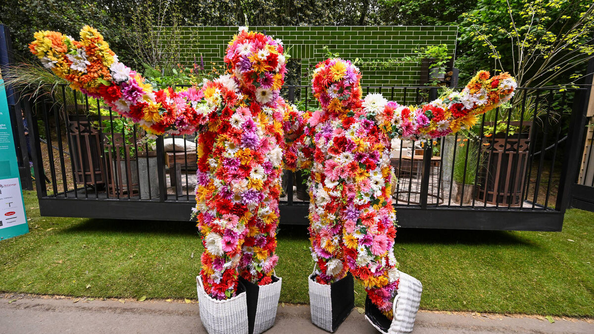 Green Fingers: The garden shows are in full swing