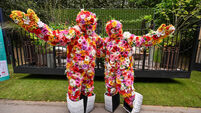 Green Fingers: The garden shows are in full swing