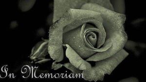 Recent deaths of people from Waterford
