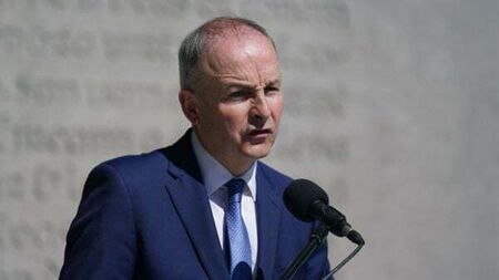 Far-right elements 'making a lot of noise' about migration – Tánaiste