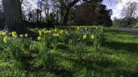 Green Fingers: Spend time in the garden to get energised