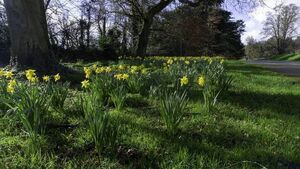 Green Fingers: Spend time in the garden to get energised
