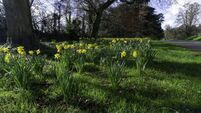 Green Fingers: Spend time in the garden to get energised
