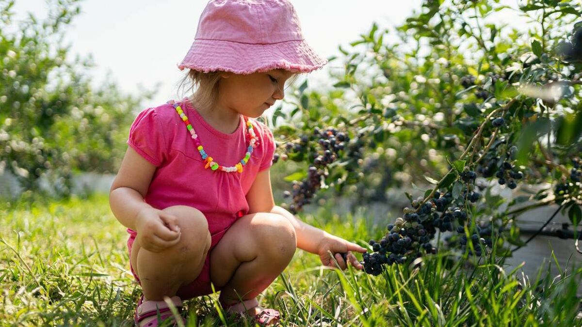 Green Fingers: Plants are irresistible in the garden