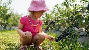 Green Fingers: Plants are irresistible in the garden