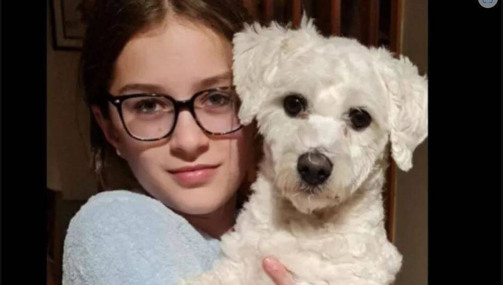 Teenager died from being struck by wing mirror after getting off school bus – inquest - News - Vimarsana News
