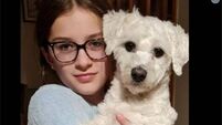 Teenager died from being struck by wing mirror after getting off school bus – inquest 