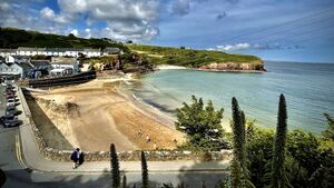 Local Notes: Biodiversity talk, Senior Scór and cruise liner visit