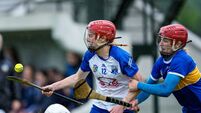 Devane drives Tipp past Déise in camogie cracker 