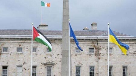 Man in court charged over alleged attempt to remove Palestinian flag from Leinster House