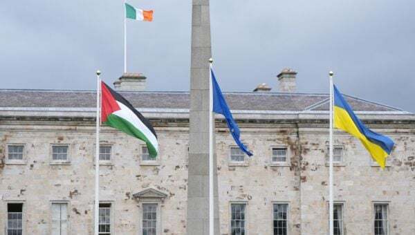 Man in court charged over alleged attempt to remove Palestinian flag from Leinster House - Homepage - Vimarsana News