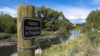 Fr Liam Power: Incorporating the rights of nature into our Constitution