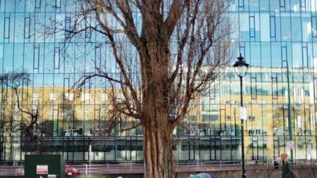 Number of homeless people surpasses 14,000 for first time