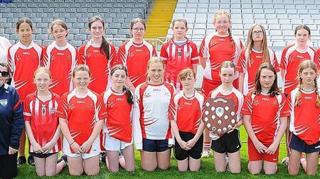 Local Notes - Lotto news, card games and playful streets