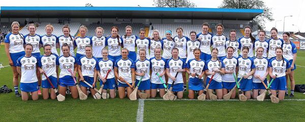 The Waterford panel that defeated Limerick in the Glen Dimplex All-Ireland Senior Camogie Championship on Saturday in Walsh Park. Photos Noel Browne.