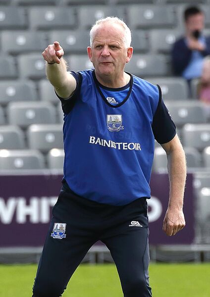 Waterford manager Jerry Wallace issuing instructions during the win over Limerick.