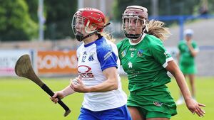 Five star Déise let loose on Limerick
