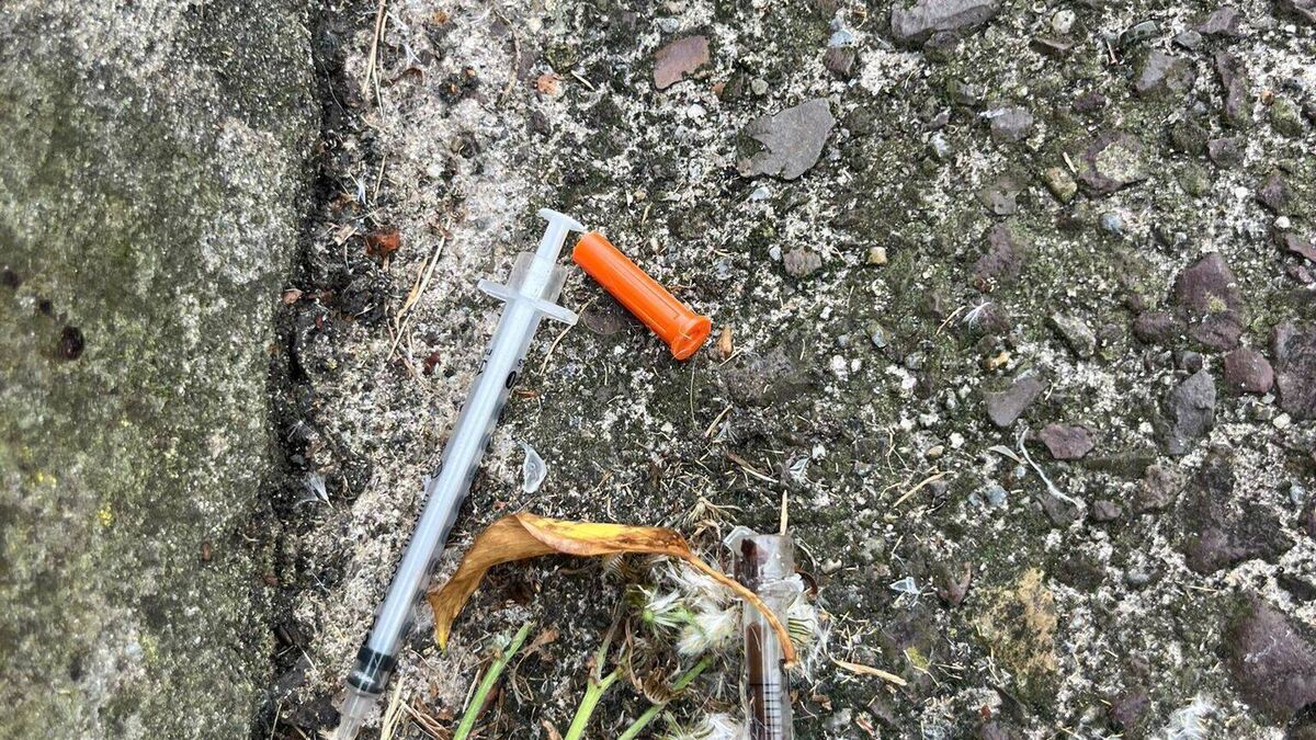 Concerns raised as children could pick up used needles