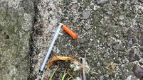 Concerns raised as children could pick up used needles