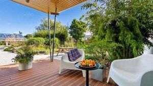 Stylish Clare home is a real paradise for plant lovers Stylish Clare home is a real paradise for plant lovers