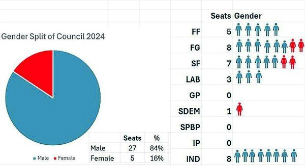 The gender split on Waterford City and County Council. The gender split on Waterford City and County Council.