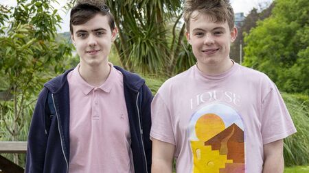 Waterford students call on Government to increase mental health services 